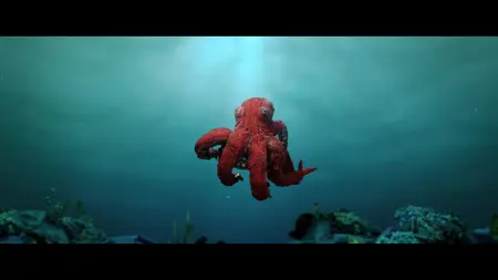 Octopus! S01E02