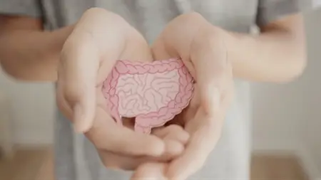 The Heal Your Gut Course
