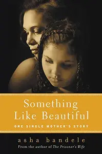 Something Like Beautiful: One Single Mother's Story