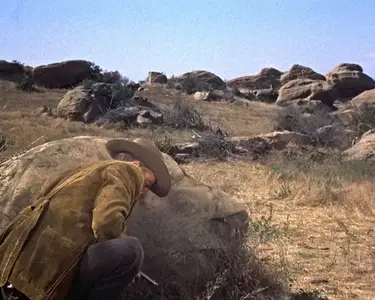 Tall Man Riding (1955)