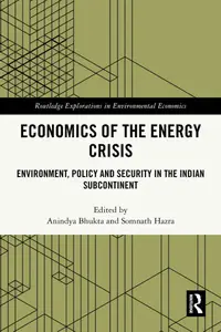 Economics of the Energy Crisis: Environment, Policy and Security in the Indian Subcontinent