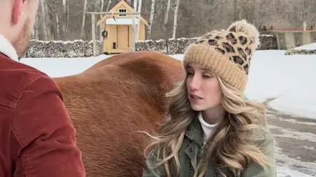 Doc Holly's Christmas (2024)