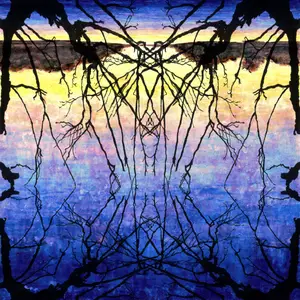 Paul Vickers and the Leg - Winter at Butterfly Lake (2025) [Official Digital Download]