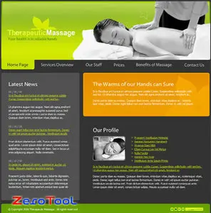 FlashMint 2194 Massage therapy flash template