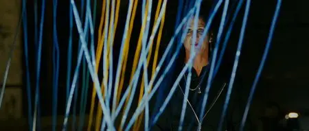 This Must Be The Place (2011)