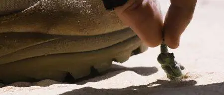 Mine (2016)