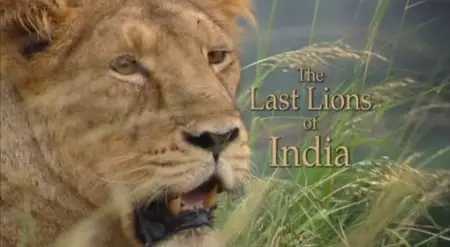 BBC - The Last Lions of India (2006)