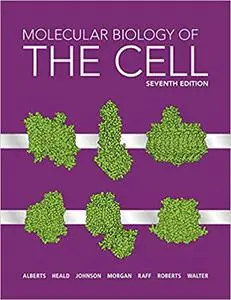 Molecular Biology of the Cell