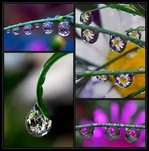 Water Drops by Steve Wall