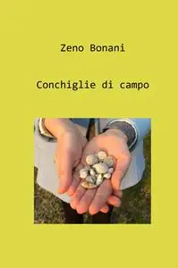 Conchiglie di campo