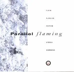 Djen Ajakan Shean & Vidna Obmana - Parallel Flaming (1993)