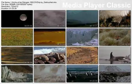 L'Arche et les Déluges [The Ark and the Deluge] 1993