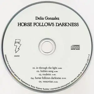 Delia Gonzalez - Horse Follows Darkness (2017) {DFA Records dfa2522}