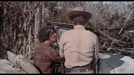 Coogan's Bluff (1968)