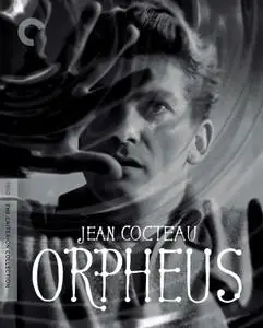 Orpheus (1950) [The Criterion Collection]