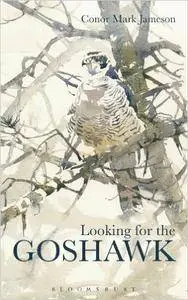 Looking for the Goshawk (repost)