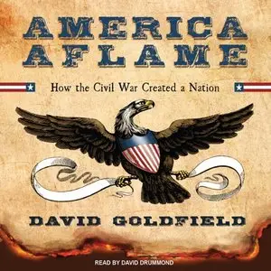 America Aflame: How the Civil War Created a Nation (Audiobook)