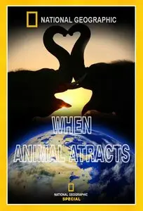 National Geographic: When Animals Attract (2007)
