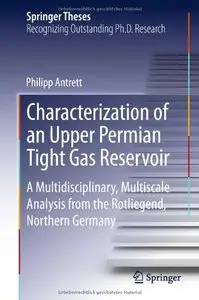 Characterization of an Upper Permian Tight Gas Reservoir (repost)