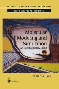 Molecular Modeling and Simulation: An Interdisciplinary Guide