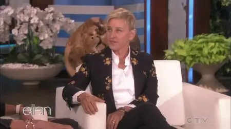 The Ellen DeGeneres Show S16E136