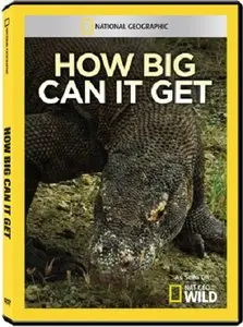 National Geographic - How Big Can it Get: Komodozillas (2011)