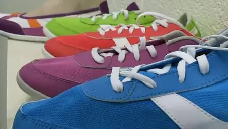 (Fr5) Magasins de sport, à fond la concurrence ! (2012)