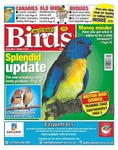 Cage & Aviary Birds – 8 October 2014