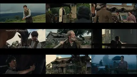 War Horse (2011)
