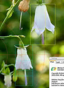 Atrise Golden Section v4.0.2 - Multilanguage