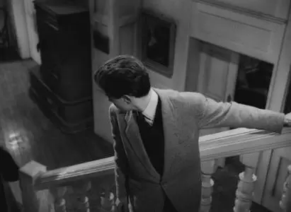 L'affaire Maurizius (1954)