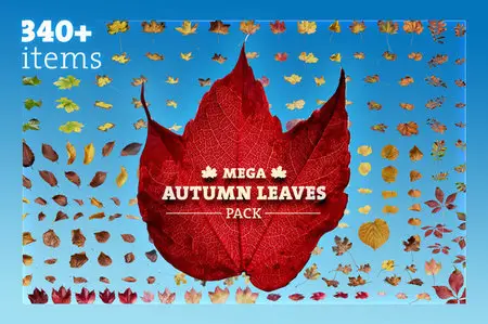 CreativeMarket - Mega Autumn Leaves Pack