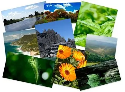 50 Wonderful Nature Widescreen Wallpapers