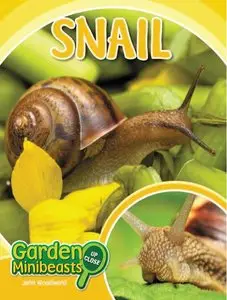 Snail (Garden Minibeasts Up Close)