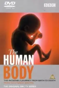BBC - The Human Body