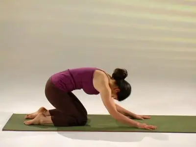 Viniyoga Therapy for the Upper Back, Neck & Shoulders [repost]