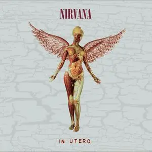 Nirvana - In Utero (30th Anniversary Super Deluxe) (3CD, 1993)