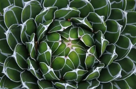 World In Photo 226