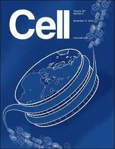 Cell - 17 November 2016