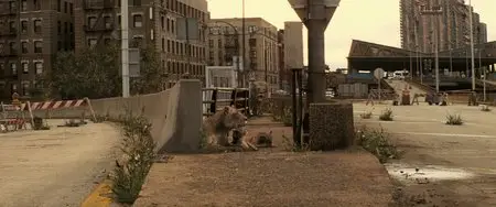 I Am Legend (2007)