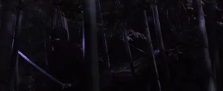 Shinobi (2005)