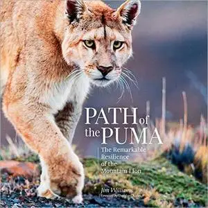 Path of the Puma: The Remarkable Resilience of the Mountain Lion [Audiobook]