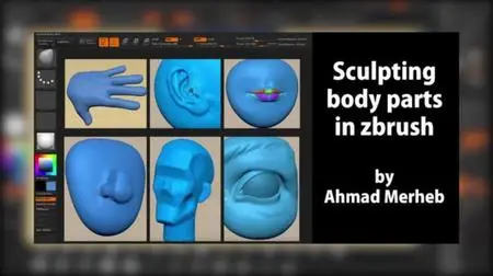 Sculpting Body Parts in Zbrush For Animation