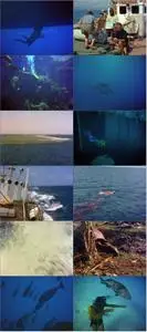 The Silent World (1956)