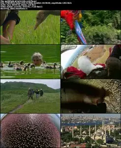 Earthflight S01E06