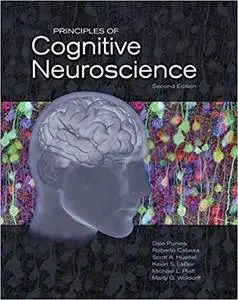 Principles of Cognitive Neuroscience Ed 2