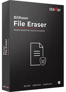 BitRaser File Eraser Standard 5.0.0.5