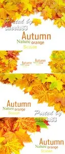 Stock Photo - Autumn Leaves Cards 3