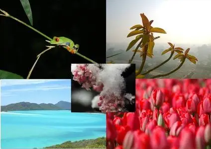 HQ Wallpapers of  Treasure