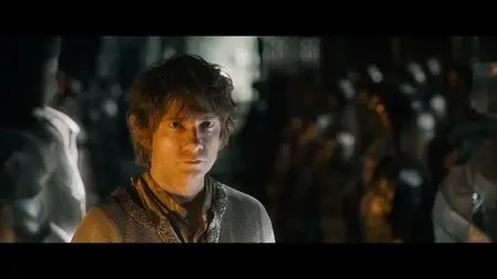 The Hobbit: The Battle of the Five Armies (2014) [Special Edition]